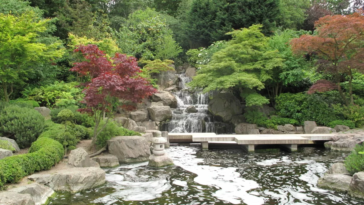 A serene waterfall cascades over rocks in a tranquil Japanese garden, surrounded by lush trees and greenery